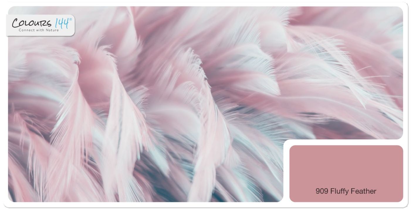 feine-premium-innenfarbe-von-colours144-farbton-fluffy-feather-909-rosa-wandfarbe-1
